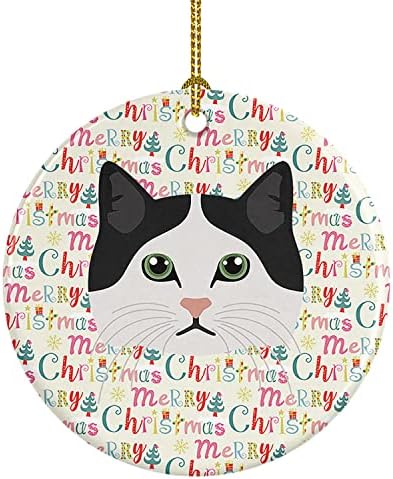 Tesouros de Caroline WDK2369CO1 Ragamuffin Cat Christmas Ceramic Ornament, Decorações de árvores de Natal, ornamento pendurado para Natal, férias, festa, presente, presente,