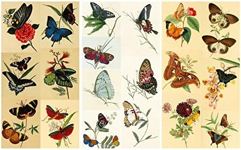 Decoupage Paper Pack Butterfly Redoute Flonz vintage efêmer