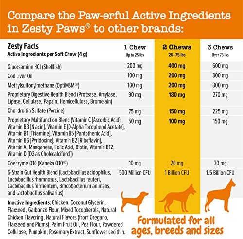 Suplementos multifuncionais para cães - glucosamina condroitina para suporte articular + força veterinária