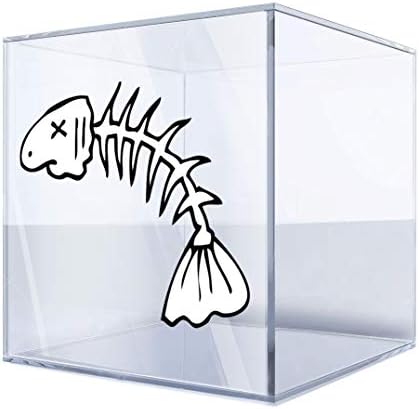 Decalques adesivos de peixe anatomia da vida marinha peixe debaixo d'água 24 x 19