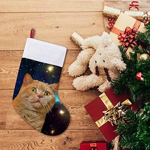 Star Cat Personalizou Christmas Stocking Home Chas Tree Fireplate Decorações penduradas