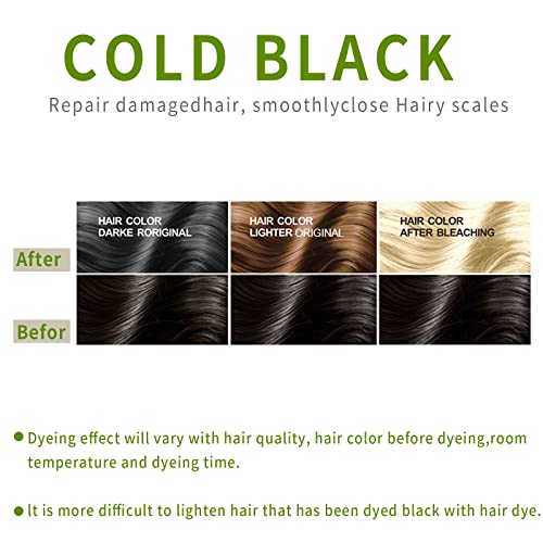 10 PCs Shampoo de tinta de cabelo preto marrom preto para homens Mulheres, tinta de cabelo instantânea