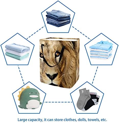 Djrow cestos para lavanderia Lion Toile Horty Lida