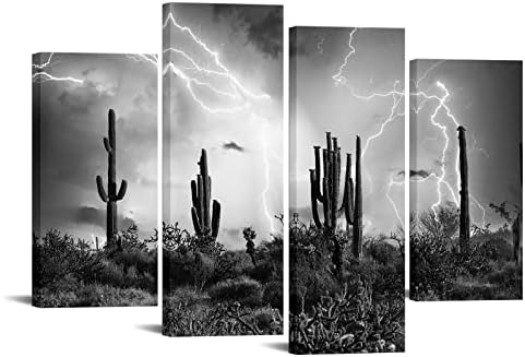 Parede náquica preto e branco saguaro deserto parede arte arizona em iluminação picture picture impressões