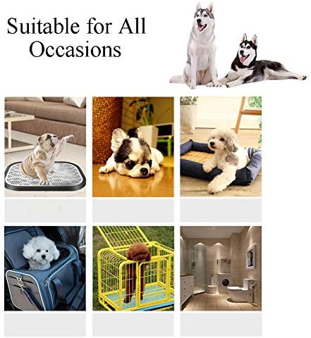 Almofadas de treinamento para cães para animais de estimação e almofadas de cachorro, ultra absorvente,