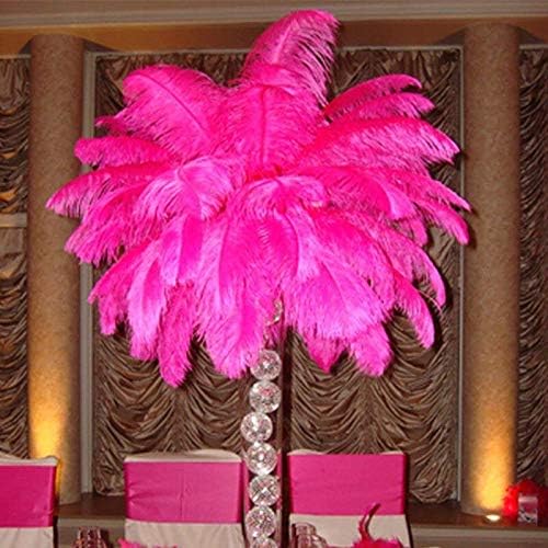 Zamihalaa Rose Red Avestrich Feather15-70cm10-200pcs