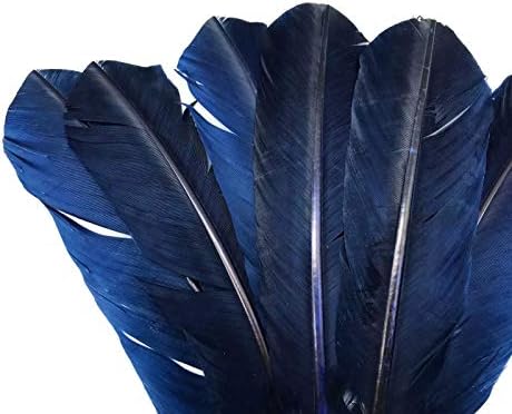 1 lb. Asa de peru azul marinho Tom Rounds Wing Secundário Quill Wholesale Feathers Halloween Supply | Pena da luz