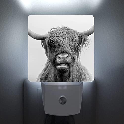 Somimosa plug-in noturno crepúsculo para o amanhecer sensor inteligente LED LED Nightlight para quarto banheiro