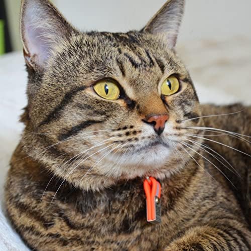 Navitagi Cat Breakaway Collar com etiqueta de identificação de qr mais reflexiva e atualizada.