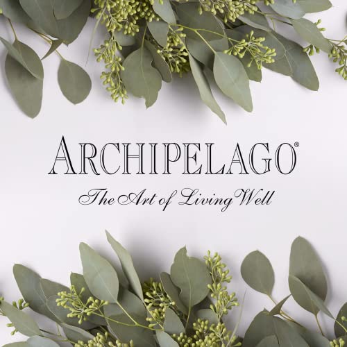 Archipelago Botanicals Charcoal Rose Body Wash | Cleanser diário hidratante | Livre de parabenos