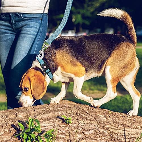 Azuza Reffortive Dog Colar e Leash Set, colarinho acolchoado com coleira combinando para cães médios e grandes…