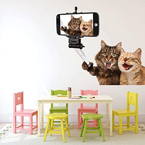 Adesivos de gato 3d decalques de gato engraçado e fofo animal vinil arte diy adesivo para quarto de quarto
