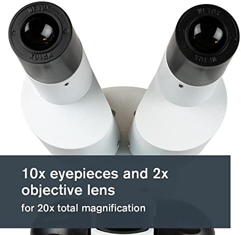 Celestron - microscópio estéreo - Celestron Labs S20 - Cabeça binocular ergonômica - ampliação de 20x
