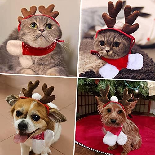 Apreciando roupas de gato de Natal, chapéu de puplo de rena com lenço de natal, fantasia de coelho
