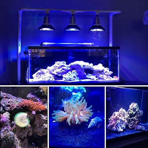 Lâmpada de planta de aquário liderada por Kingbo, Luzes de peixes de peixes com aquário leve de 18w Refúgio