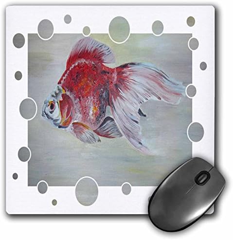 3drose LLC 8 x 8 x 0,25 polegadas Mouse pad, peixe dourado ryukin - peixe dourado, ryukin, fantail,