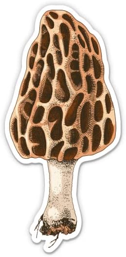 Cogumelo morel - adesivo de vinil de 12 decalque à prova d'água