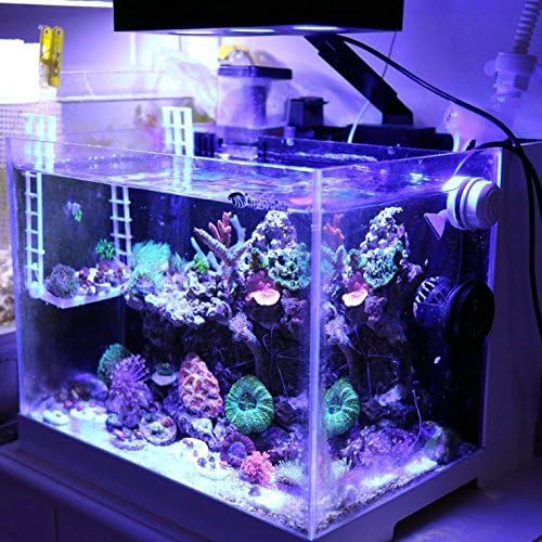 Luzes de aquário –2ª geração A029 Luz LED de aquário 30watts Iluminação de água salgada com controle de