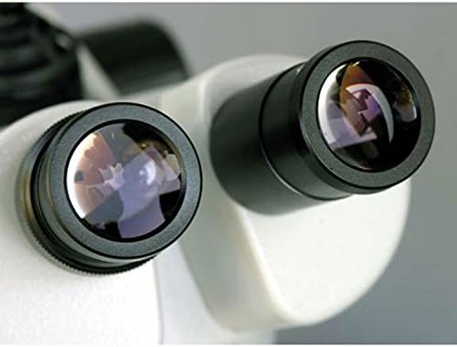 Microscópio estéreo binocular AMSCOPE SW-2B13Z, Oche Wh10x, ampliação 10x/20x/30x/60x, objetiva