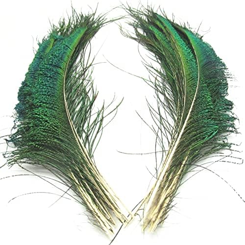 Ttndstore 20pcs/lote penas de pavão asa de 12-14 jóias de pavão decoração de penas de penas para roupas