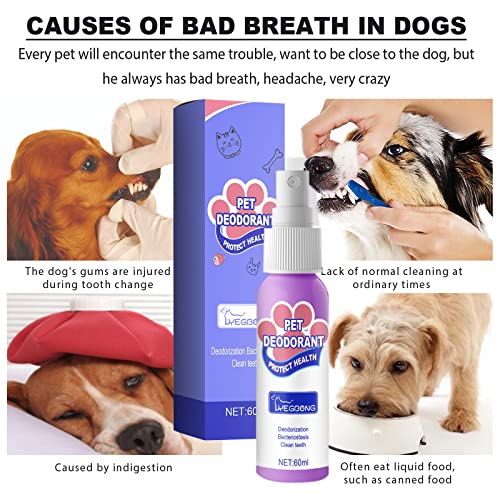 PET oral esparial, gato de cão de cachorro Spray de limpeza de dentes de reflexão, lavagem respiratória