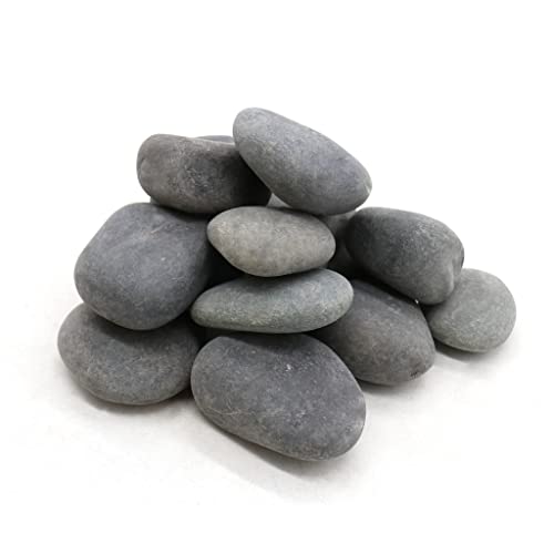 Black Rocks 2 ” - 3” polegadas, 10 lb. de seixos de pedra não polidos naturais para plantas, jardins, pintura