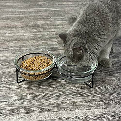 Gato de gato elevado de vidro duplo ou tigelas de cachorro pequenas com suporte de metal para alimentos