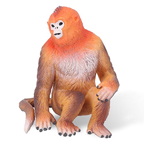 Decoração durável do modelo de macaco dourado vívido, modelo prático de macaco dourado da vida selvagem,