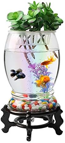 TJLSS semi-circular de peixe tanque de vidro da sala de estar de vidro da parede de parede de parede criativa