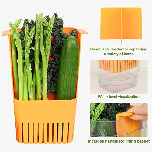 LuvCosy Fresh Herb Beter para geladeira, economia de ervas sem BPA, recipiente de armazenamento