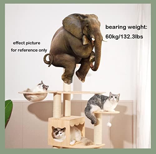 Árvore de gato para gatos internos 61. 4 polegadas de pinheiro Torres de gato condomínio gato com plataforma