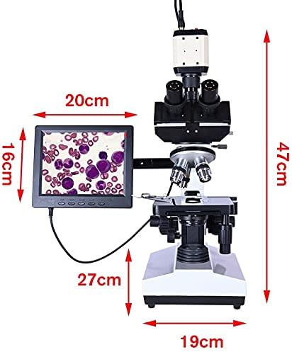Trexd Professional Lab Biológico Trinocular Microscópio Zoom 2500x + Câmera CCD digital eletrônica USB