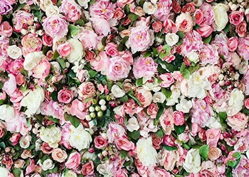 Penários de flores de primavera de 7x5 pés para fotografia Floral Cenário rosa Tema de flor de rosa fotografia