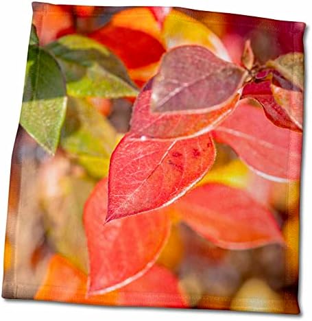 Pilha de 3drose de folhas de cotoneaster iluminado pelo sol no outono - toalhas