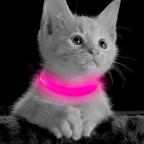 BSEEN LED DOG COLAR Luz - brilho recarregável USB no colarinho escuro, colares de cachorro iluminados para