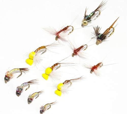 12 Vários de moscas de pesca com mosca favoritas | Seco, molhado, ninfas, serpentinas, buggers de lã, caddis