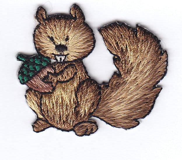 Esquilo com bolota de ferro na floresta de patches