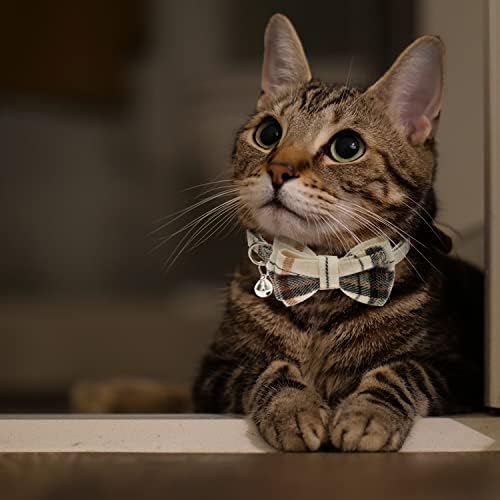 JVVGPET Breakaway Gat Collars - Cola de gato de gravata borboleta com sinos para meninos gatos, cachorros