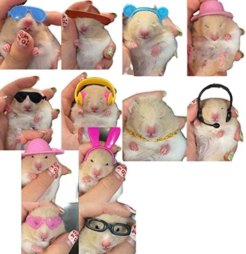 Hamster Toys Set Mini Animal Animal Pet Hamster Sunglasses Hat Hat Colar Colar tampo da tampa de patos de