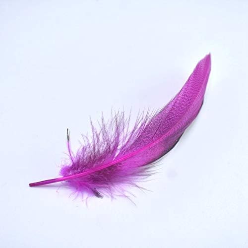 20pcs/penas de pato natural para artesanato decorações de festas de plumas de penas coloridas para
