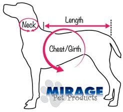 Mirage Pet Products Just the Basics Crystal and Spike colares, 10 polegadas, vermelho