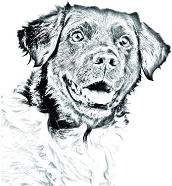 Stabyhoun, lápide oval de azulejo de cerâmica com uma imagem de um cachorro