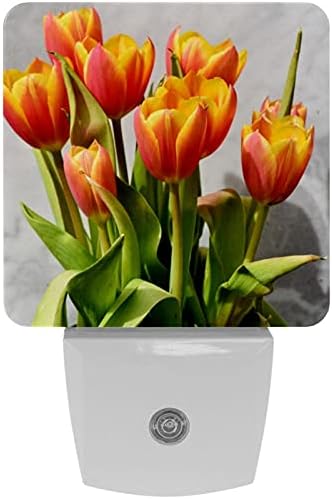 Tulip Flower Bouquet LED Night Light, Kids Nightlights for Bedroom Plug in Wall Night Lamp Brilho ajustável