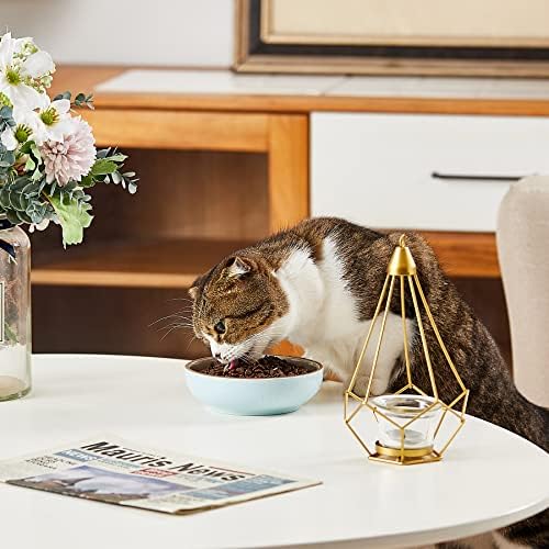 Como 5.3 em pratos de gato de cerâmica, tigelas de gato rasas tigelas pequenas tigelas de gato pratos de gato para