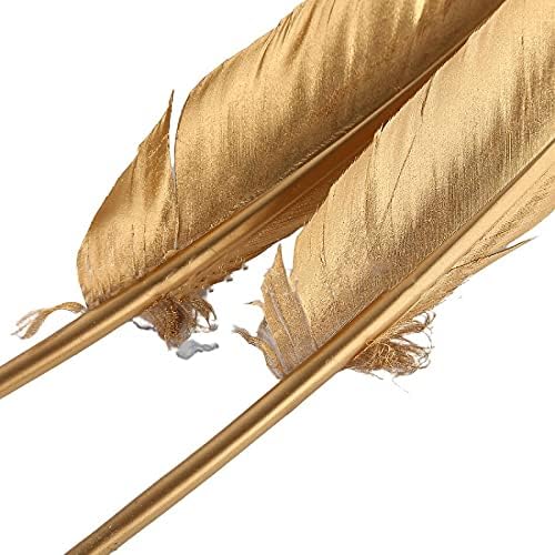 Jeniorr 100pcsnatural Gold Gaose Turkey Feathers for Crafts Plume Decorações de festas de casamento
