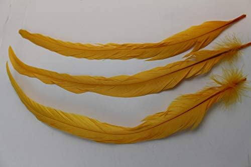 20pcs 12 -14 e 14 -16 Feathers de cauda de cauda de coque para artesanato, decoração, casamento, suprimento