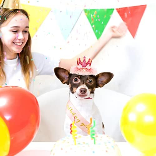 Dog Birthday Sash Dog Birthday Bandana Dog Birthday Party Sash and Crown definido para uma pequena