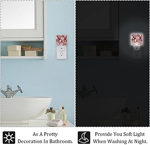 Flower Roses LED Night Light, Kids Nightlights for Bedroom Plug in Wall Night Lamp Brilho ajustável para escadas
