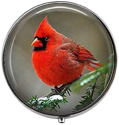 Cardinal Bird - Charm Bird Art Phone Box - Charm Pill Box - Caixa de doces de vidro