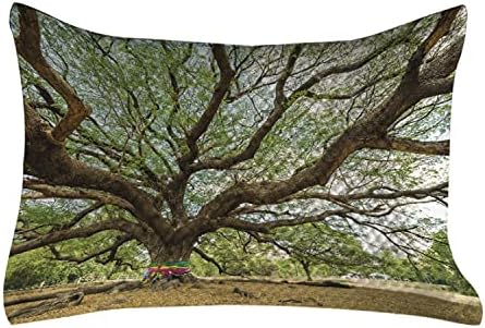 Ambesonne Nature acolchoado Cobertão de travesseiros, magnífica árvore de chuva na Tailândia com galhos longos
